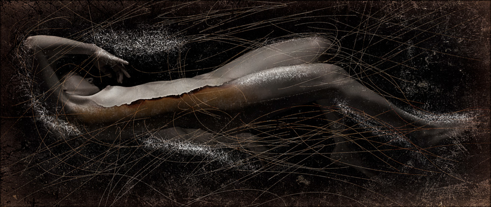 Sans Tache #43